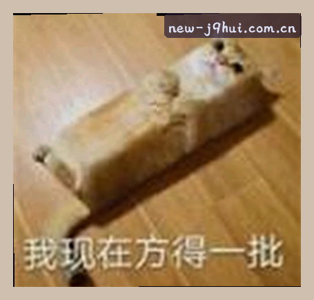 赵雨桐